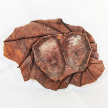 Cargar imagen en el visor de la galería, Antigua Máscara Cuero Rostros Escultura Tribal Pared Grande