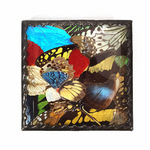 Cargar imagen en el visor de la galería, Antiguo Ornamento Mariposas Alas Cristal Vintage Pieza Única
