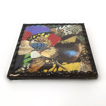 Cargar imagen en el visor de la galería, Antiguo Ornamento Mariposas Alas Cristal Vintage Pieza Única
