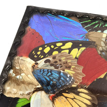Cargar imagen en el visor de la galería, Antiguo Ornamento Mariposas Alas Cristal Vintage Pieza Única
